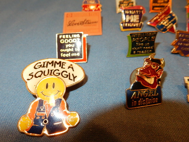 19 Brooch Pins