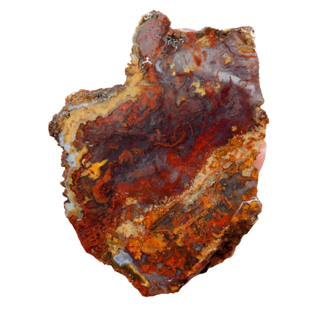 San Carlos Agate Slab - Red Moss with Blue Agate