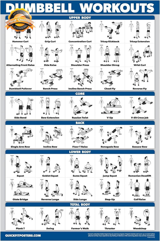 Dumbbell Workout Poster Laminated 18x24 Home Gym Exercise Guide Chart