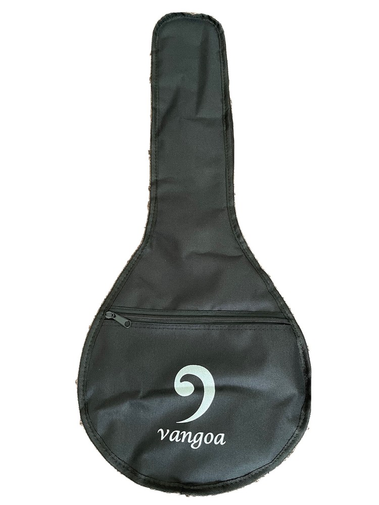 Mandolin gig bag