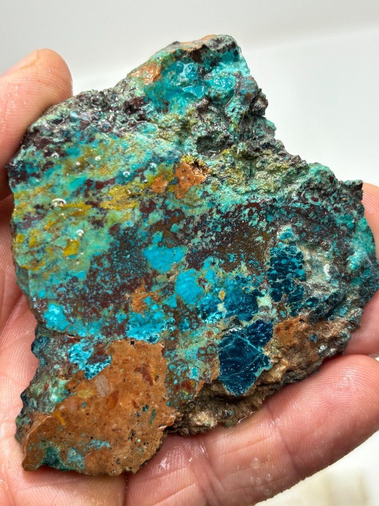 Chrysocolla Slab Cabbing Lapidary Collecting Combo Ship Avail