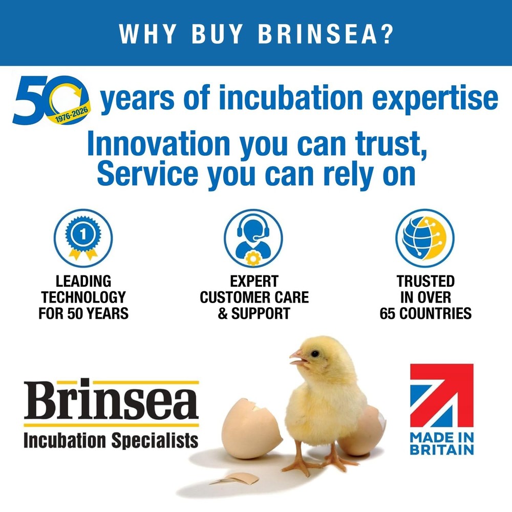 Ecoglow Safety 600 Chick or Duckling Brooder, Adjustable Height & Angle Brood...