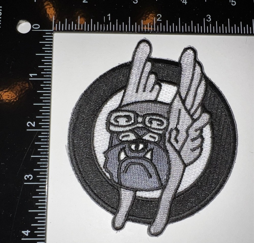 USAF US Air Force Black & White 345th Fighter Squadron Patch