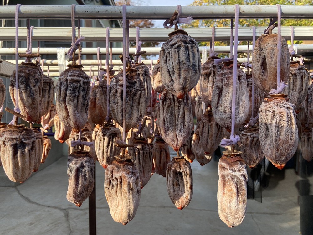 Dried Hoshigaki Persimmons (3 lbs)