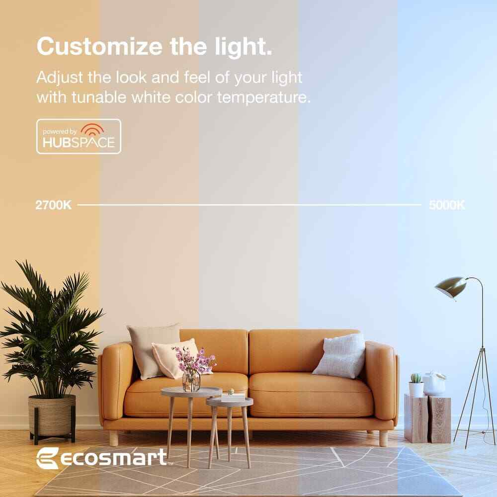 EcoSmart 2-Pack 65W Equivalent Smart Hubspace BR30 Color Changing LED Light Bulb