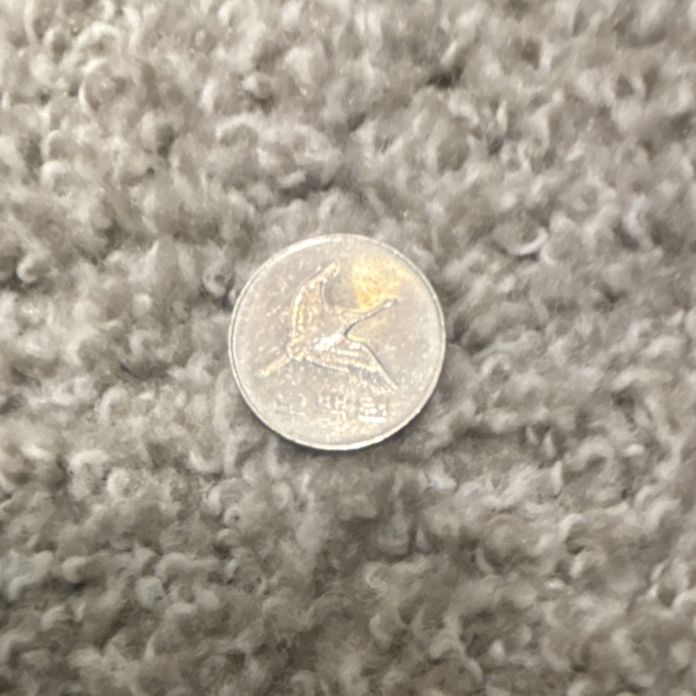 Flying Eagle Small Cent Coin Uncertified