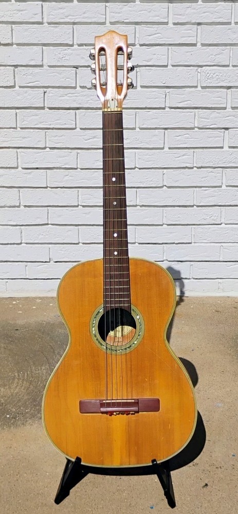 Nardan Acoustic Guitar w/CSC! -LL