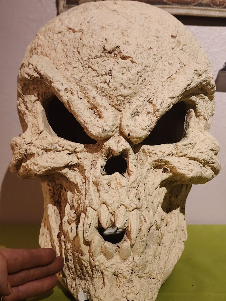 14" Skeleton Ceramic Skull Display Decoration