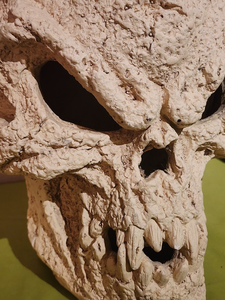 14" Skeleton Ceramic Skull Display Decoration