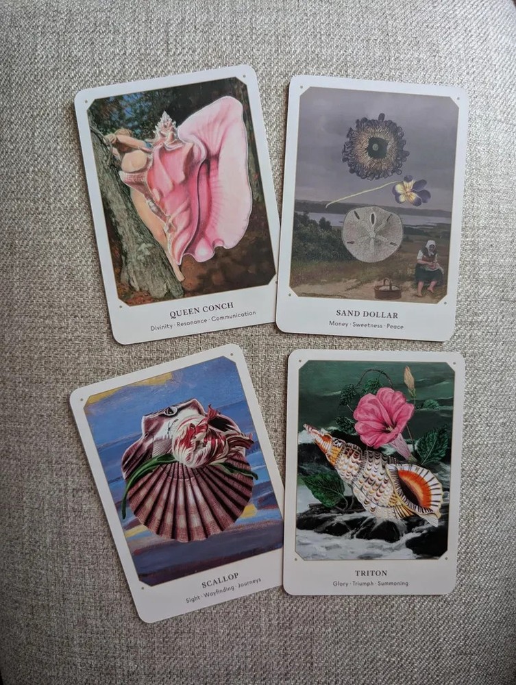 Sea shell oracle deck