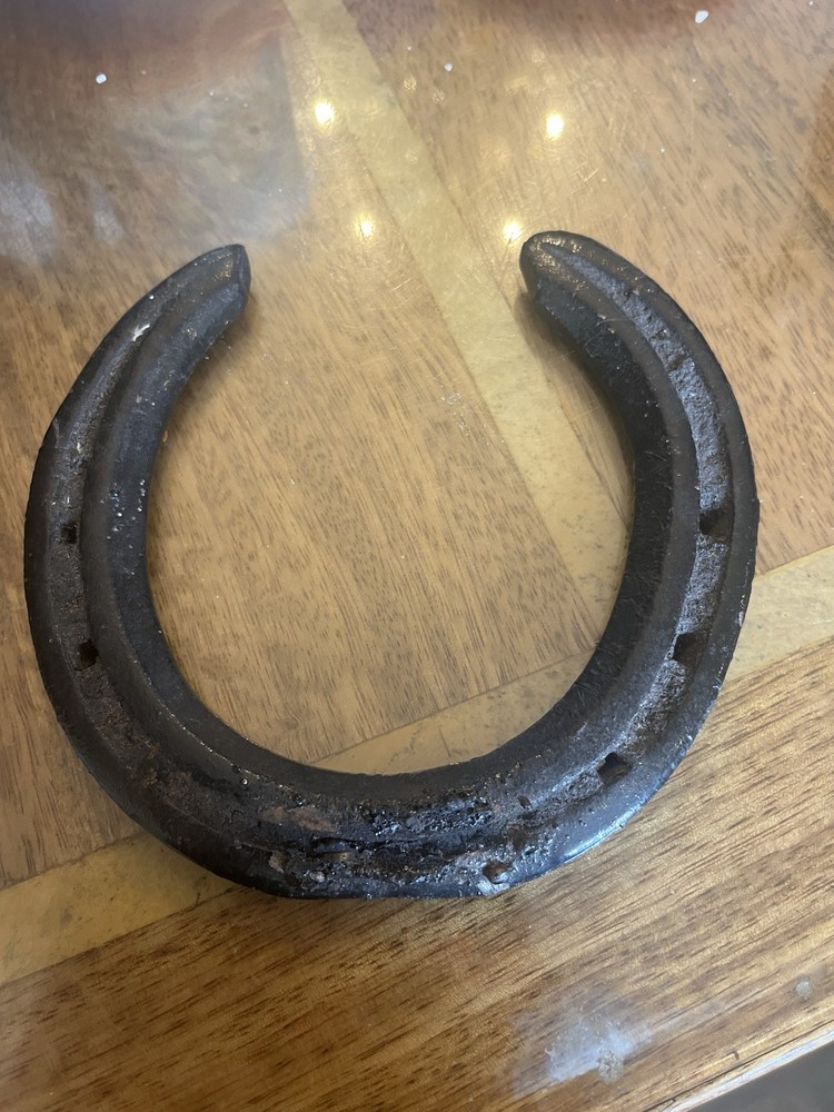 Black Painted Lucky Horseshoe