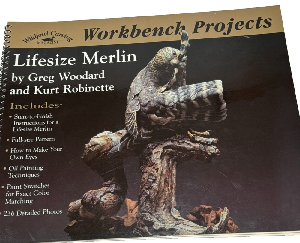 LIFESIZE MERLIN FALCON 2003 Wildfowl Carving Workbench Projects