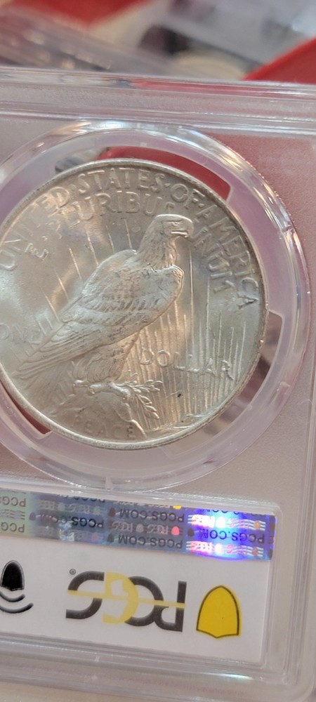 1923 PEACE SILVER DOLLAR PCGS MS66