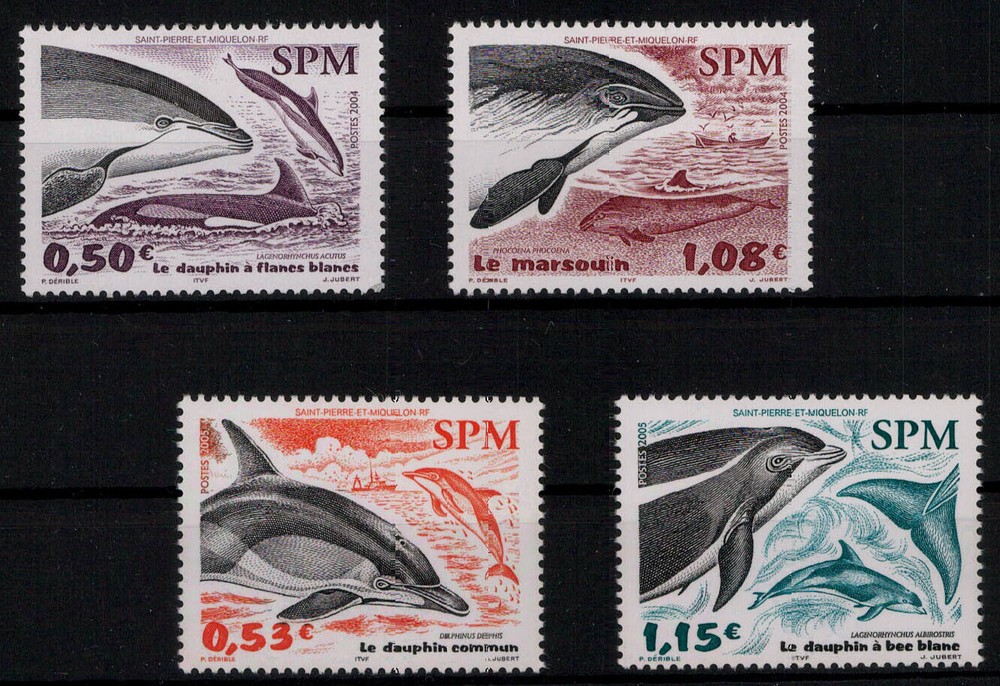St. Pierre et Miquelon; Dolphins 2004/05 complete **