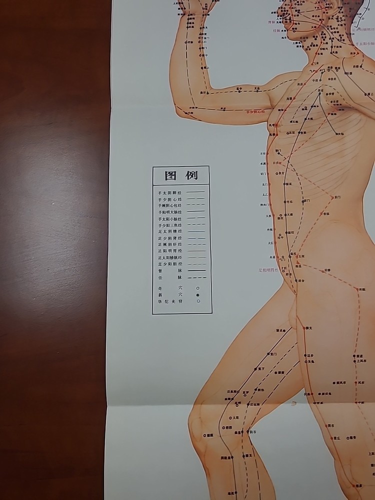 Chinese Acupuncture Point Chart