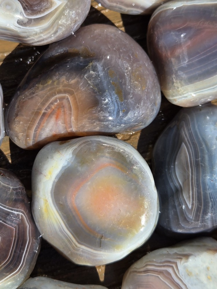Botswana Agate Selects - SUPERNOVA - Rough, Natural, Not Polished A+ Grade