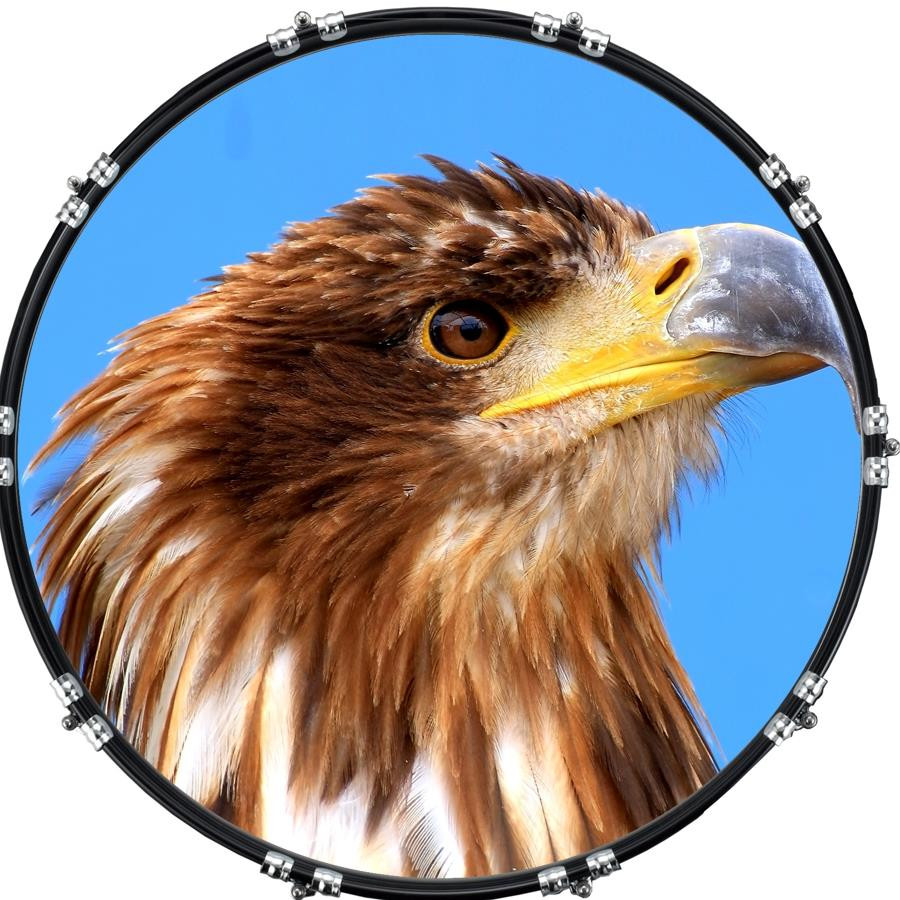 20" Custom Bass Kick Drum Front Head Graphic Graphical Eagle 2