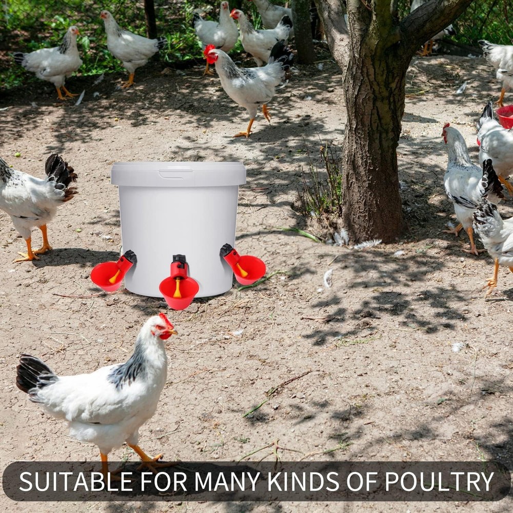 12Pack Automatic Chicken Waterer Cups - Hassle-Free Bird Hydration Solution