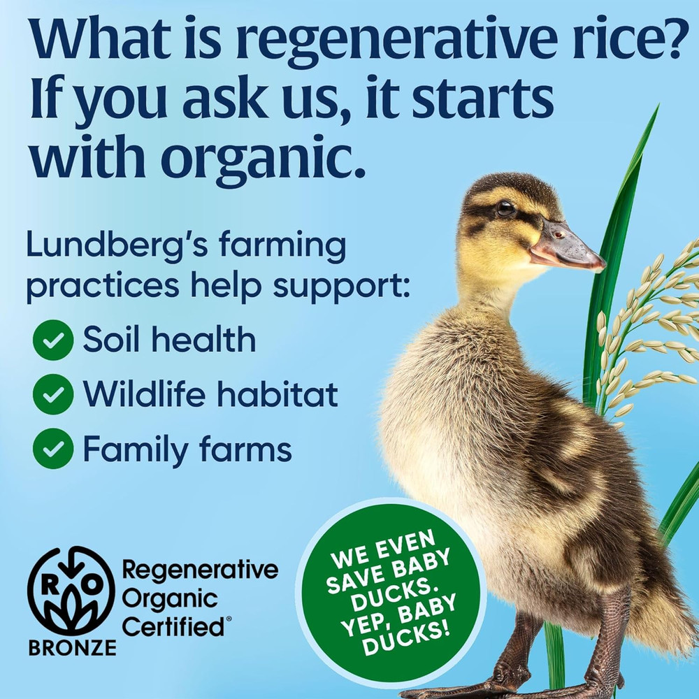 Organic Thin Stackers, Brown Rice, Lightly Salted, Thin Rice Cakes, Gluten-Free,