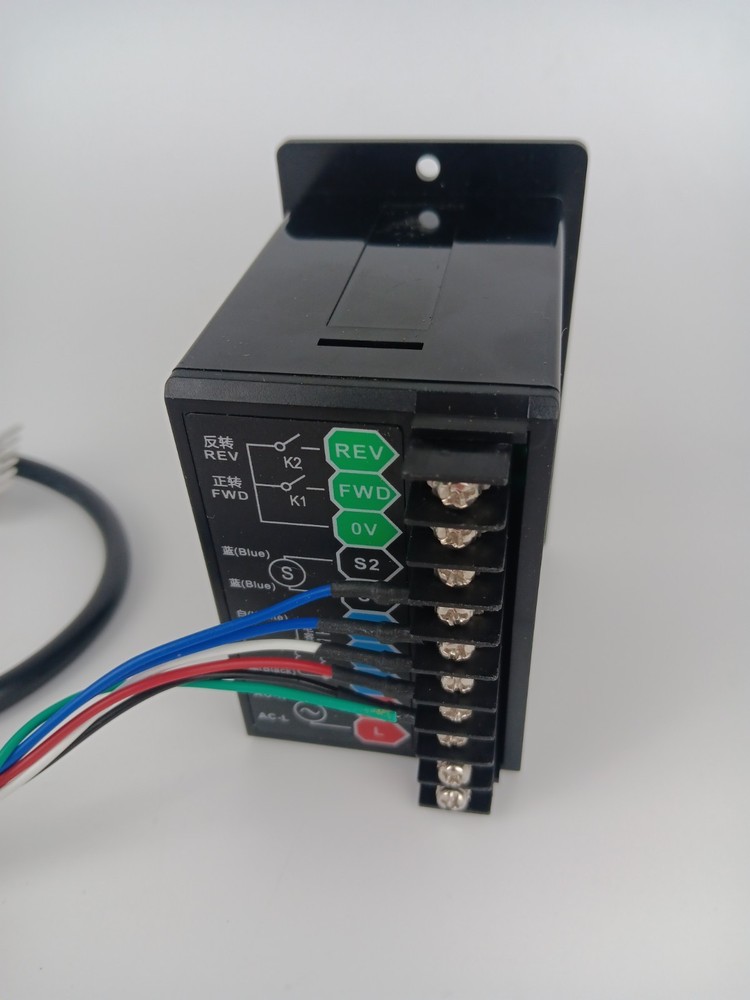 110V Single Phase Induction Gear Motor Programmable Digital Speed Controller