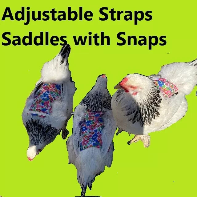 Chicken Saddle Adjustable Straps W Snaps Hen Apron Feather Protector Jacket Wing