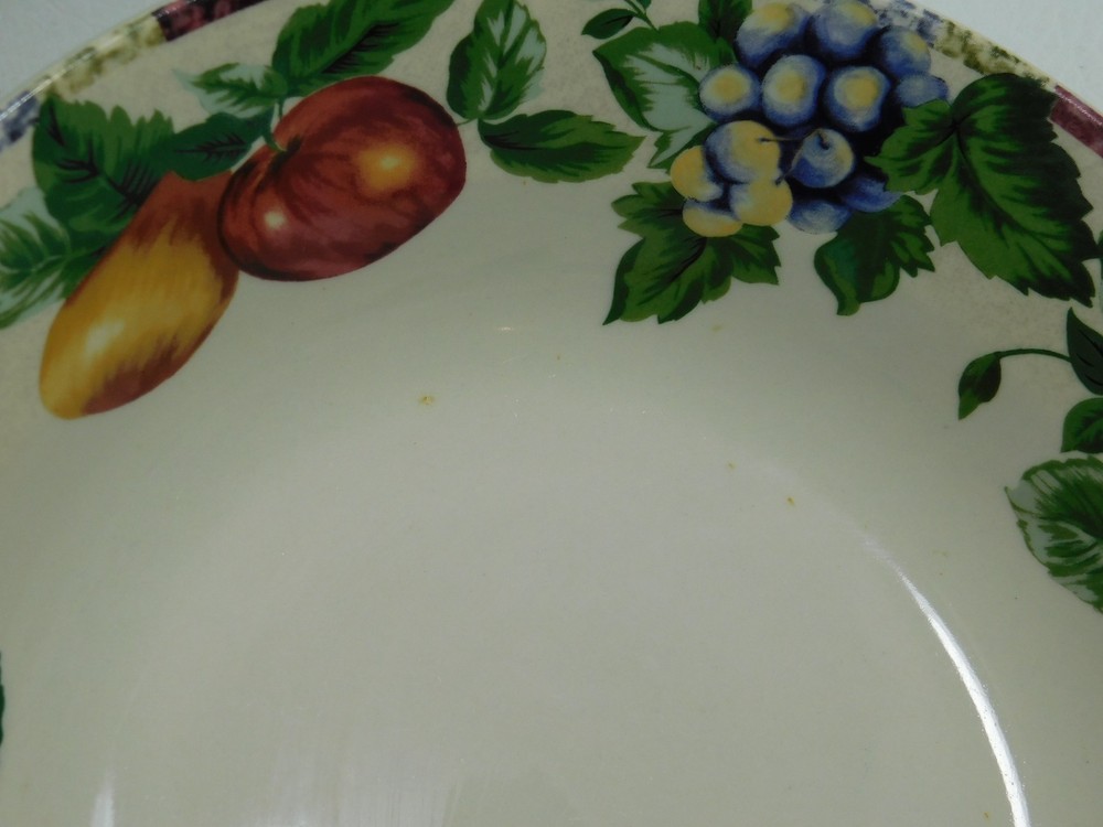 Sakura Sonoma Excell Stoneware Serving Bowl 10 1/3" - Read