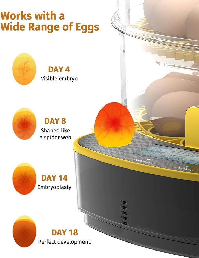 Egg Incubators for Hatching Eggs, Double-Layer 48 Egg Incubator with Temperature