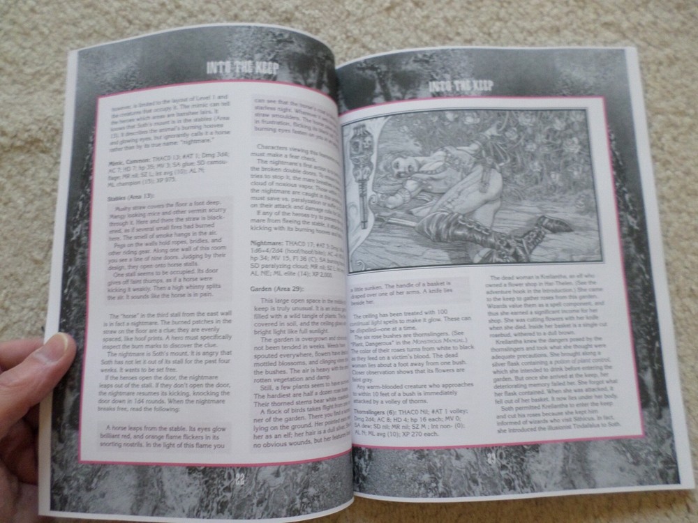 When Black Roses Bloom Ravenloft Dungeons & Dragons adventure module