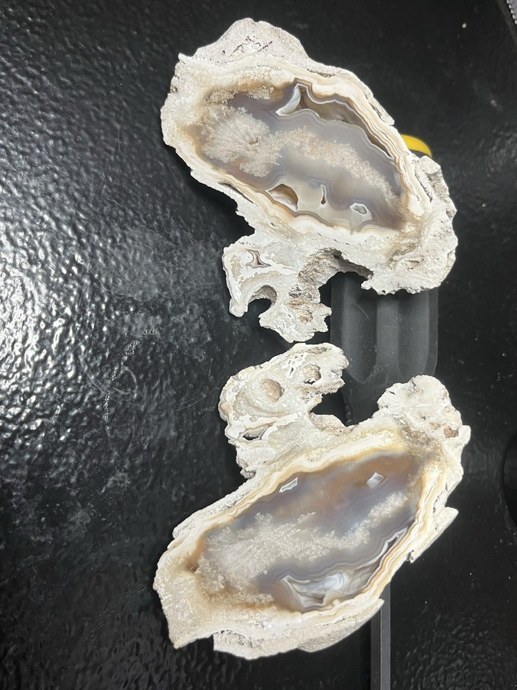 Huge Polished Agatized Coral Geode