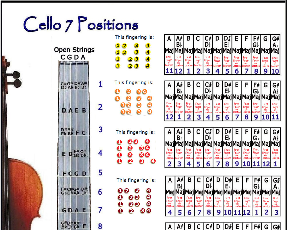 CELLO 7 HAND POSITIONS SMALL CHART - IMPROVISE IN ANY KEY !