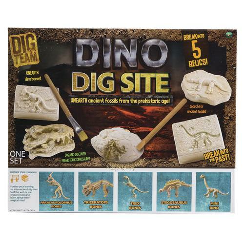 Dig Team Dino Dig Site