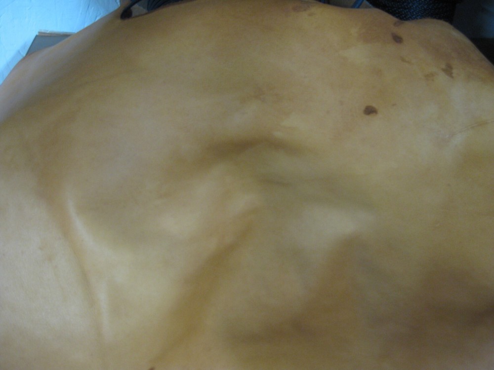 Cow Leather # 0016421 Row75