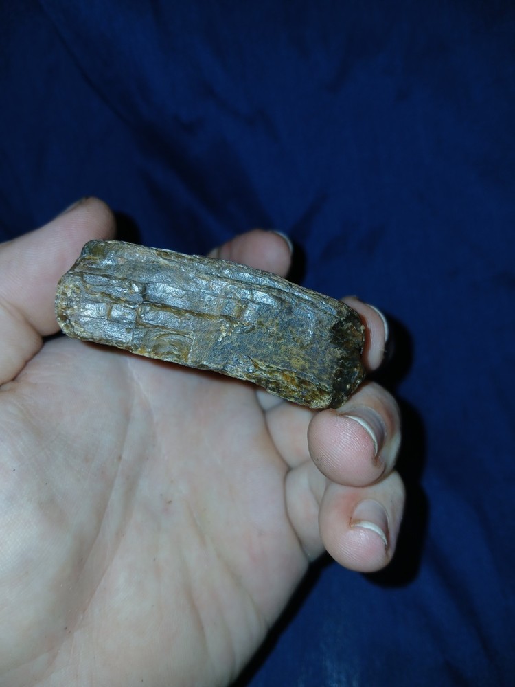 5.6 oz Agatized Petrified Wood