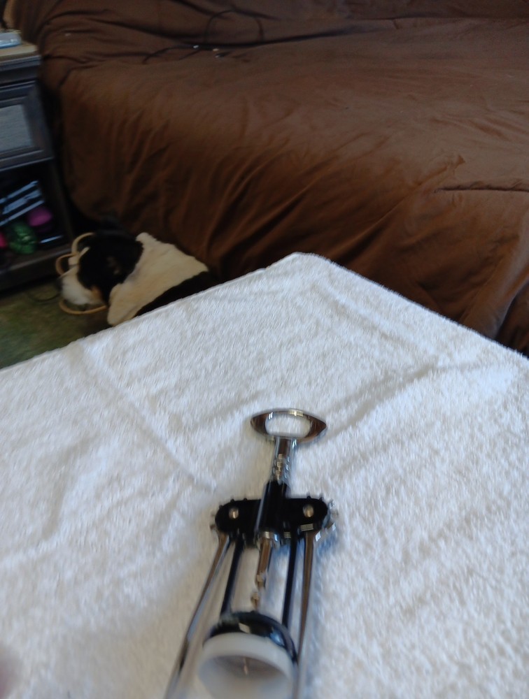 Corkscrew Slightly Used Excellent Condition Shoot Me An Offer