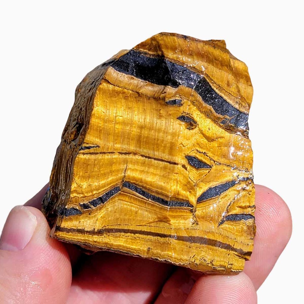 Random Pull Golden Tiger's Eye Rough! Chatoyant Display!
