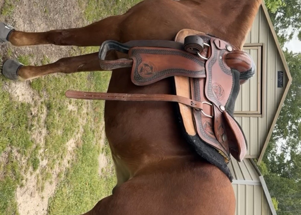 17” Western Saddle