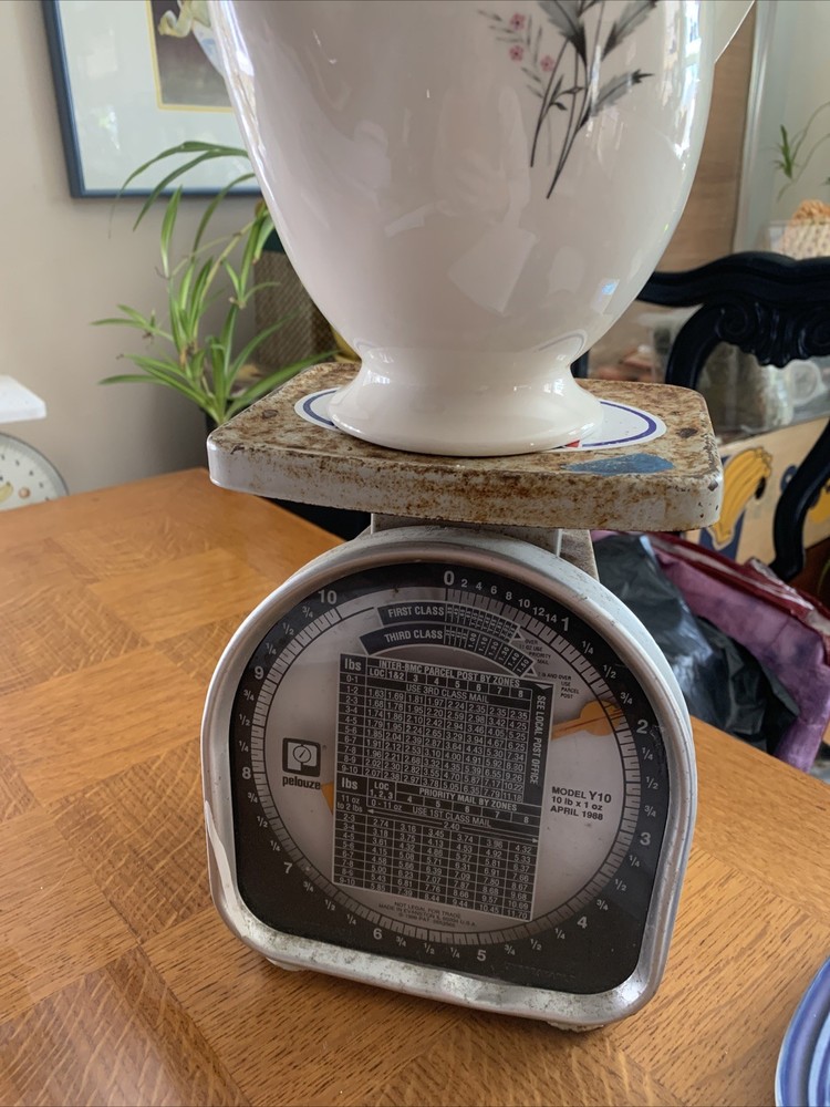 Taylor Smith Taylor - VERSATILE - BACHELOR BUTTON - TEAPOT with LID