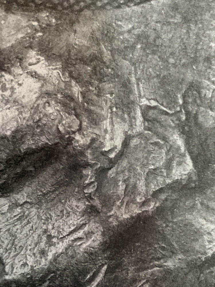 ANCIENT PHARAOH ETCHED IMAGE FOUND ON IRON METEORITE SPEAR ARTIFACT RELIC