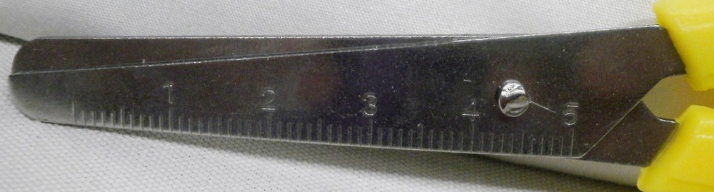 2 Stainless Steel 2.5” Blade Scissors