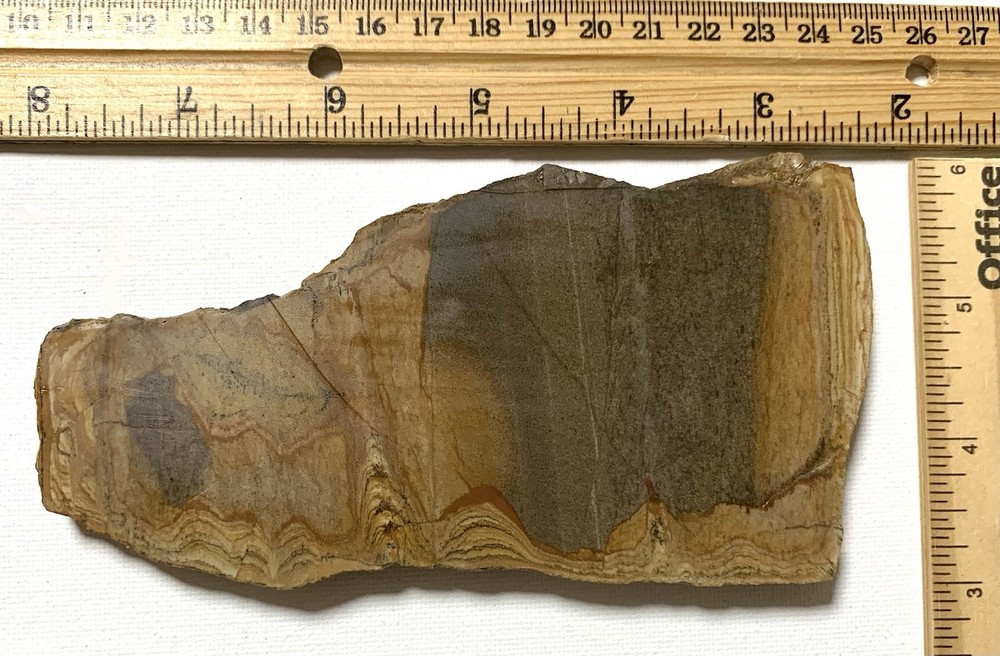 Shadow Mountain Picture Jasper Slab