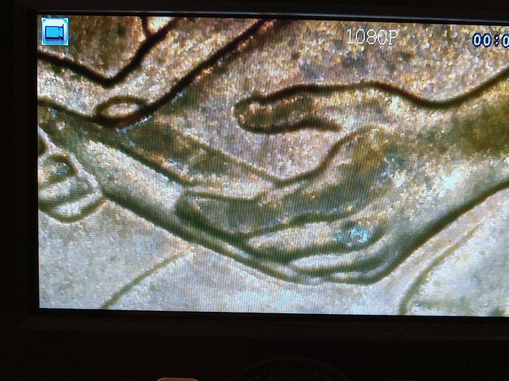 2009 Formative Years Lincoln Cent "Extra Finger"