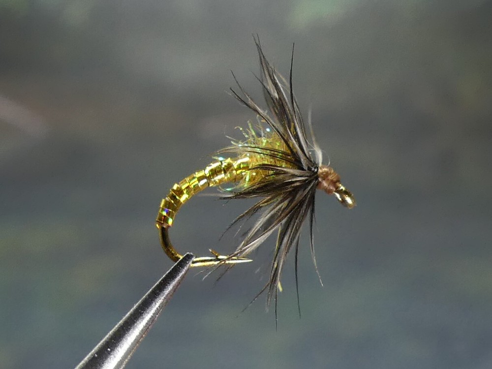 6 Flies - Gold Spider Bite