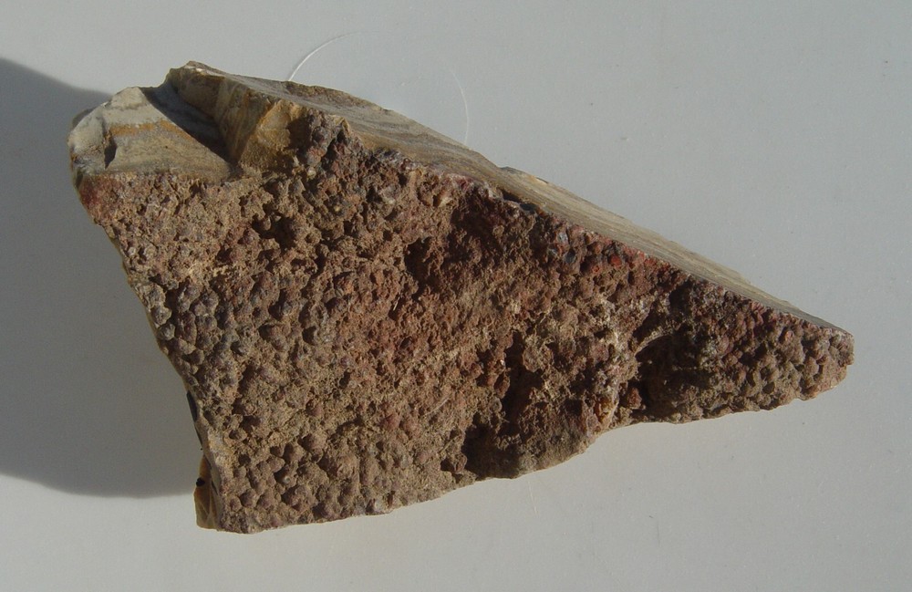 Lace Agate Small Lapidary Rough 1476