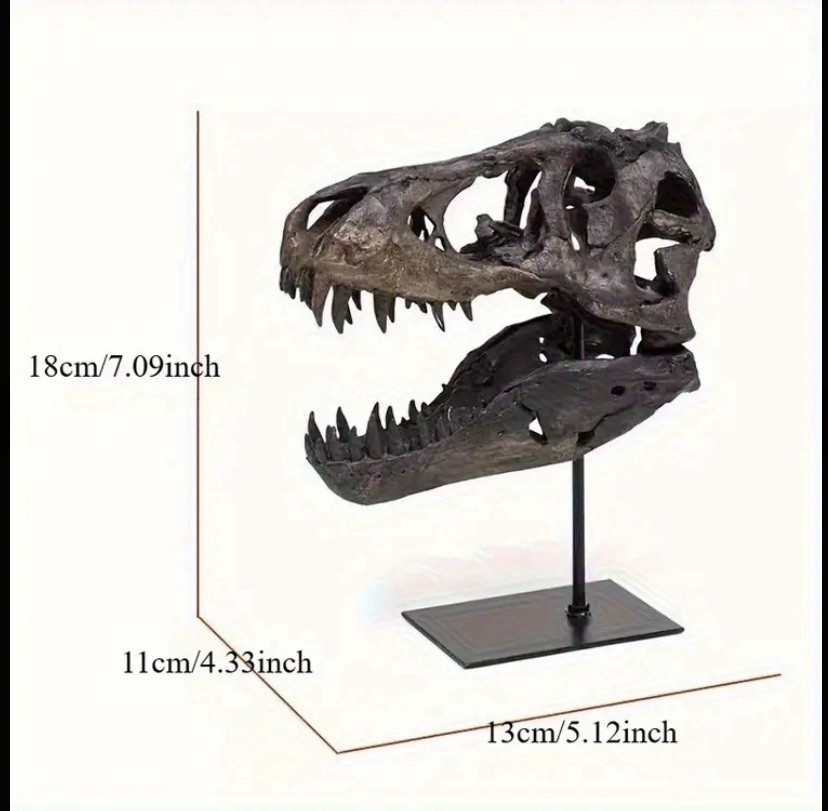 T-rex resin skull replica model decor