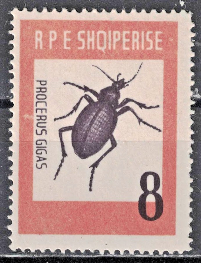 ALBANIA:1963 SC#662 MHOG Beetle AP4246