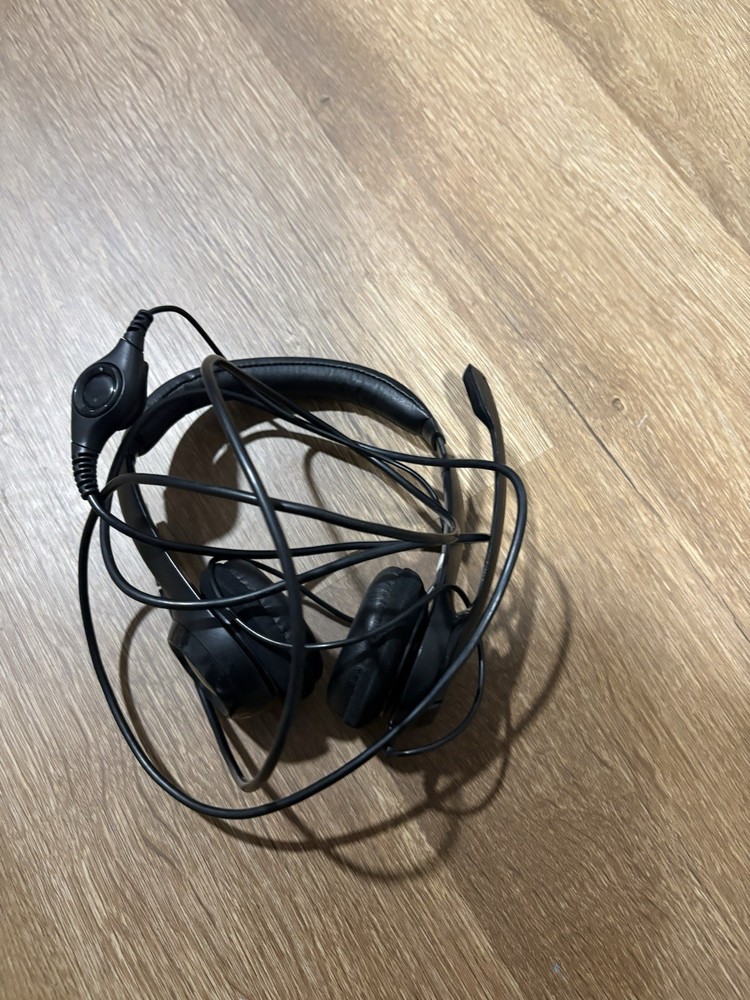 Logitech HD 1080p Webcam + Logitech USB Headset w/ Mic – Untested Bundle