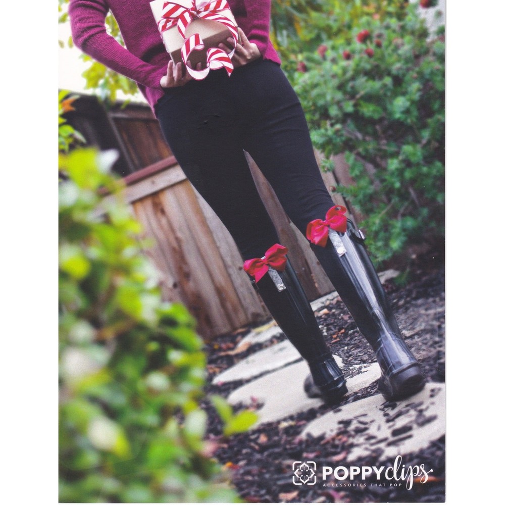 PoppyClips BootClips Fairy Wings