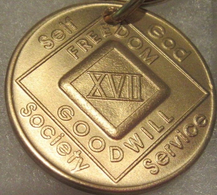 NARCOTICS ANONYMOUS NA KEY TAG 17 YEAR Keyring medallion Serenity Clean
