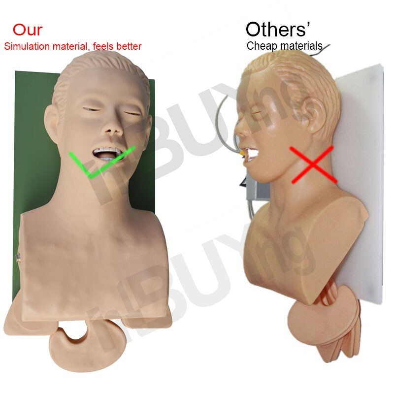 110V-220V Universal Tracheal Intubation Training Teaching Model with Indicator
