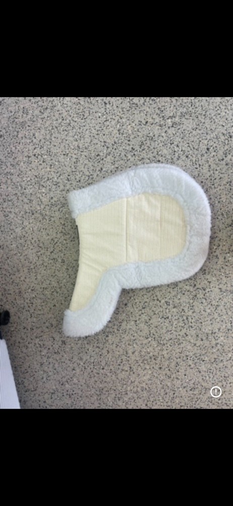 Hunter/ equitation pad
